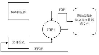 數(shù)字時代的守護者 防毒軟件與網(wǎng)絡信息安全軟件開發(fā)的重要性